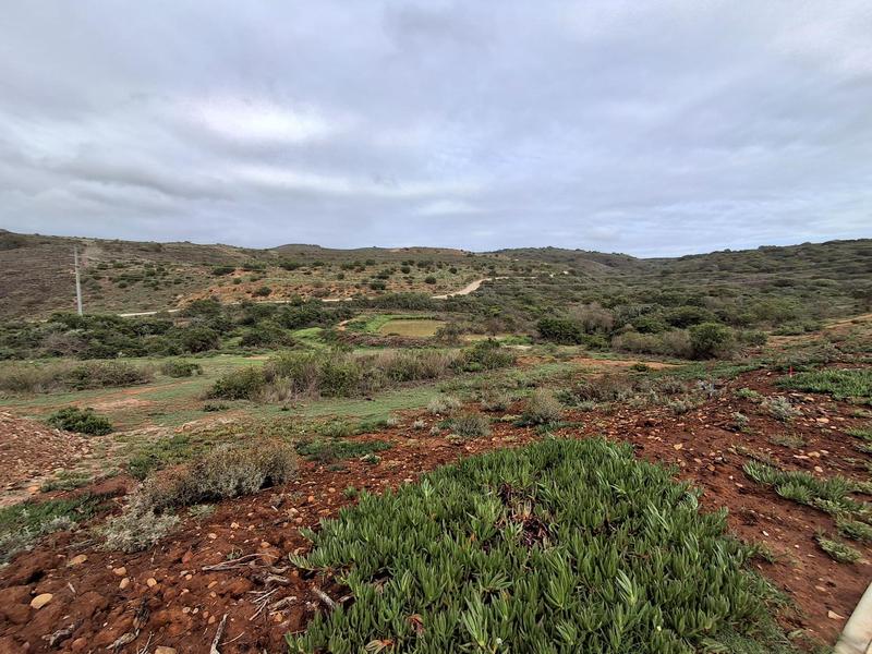 0 Bedroom Property for Sale in Outeniquasbosch Western Cape